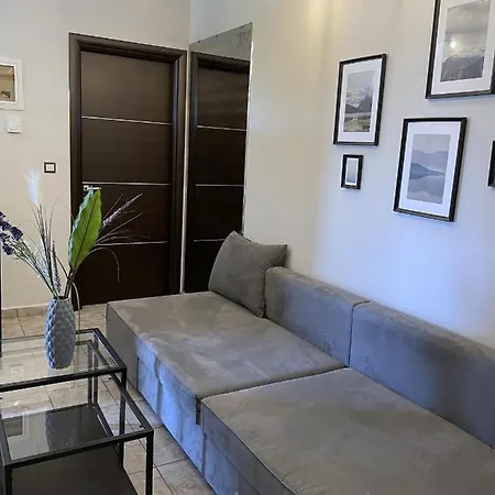 Discovery فيلة يميناريا