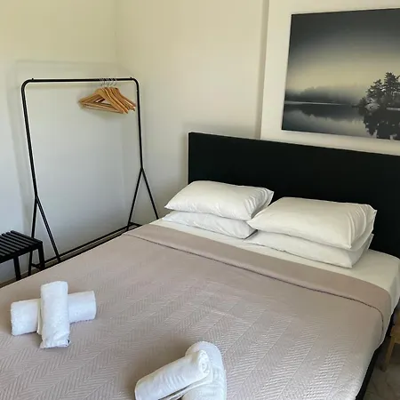 فيلة Discovery *