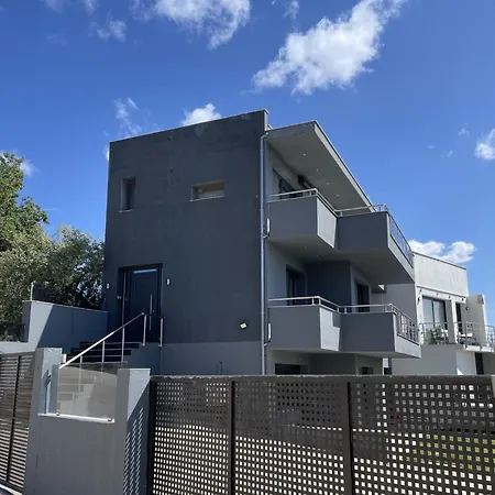 Discovery فيلة يميناريا