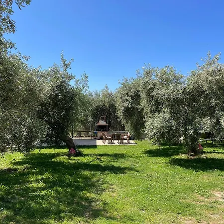 فيلة Discovery يميناريا