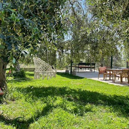 فيلة Discovery *